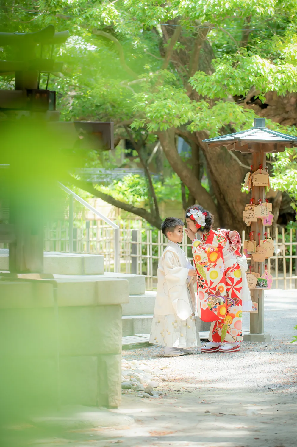 木漏れ日の神社で並ぶ七五三の兄妹