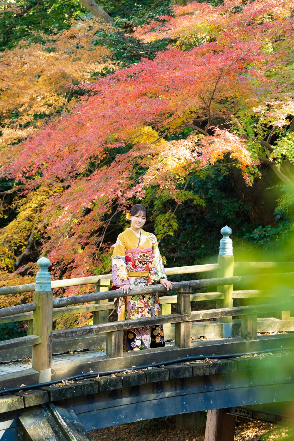 浜松城公園で、紅葉と赤い橋の上の振袖姿