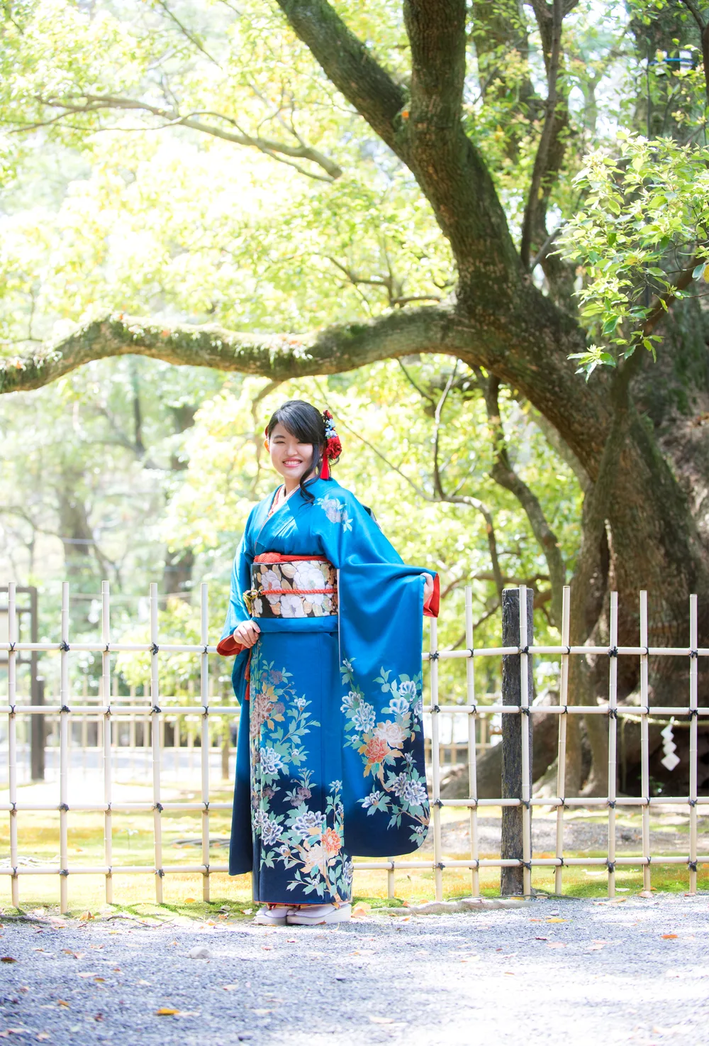浜松八幡宮で、大きな木の前に立つ青い振袖姿